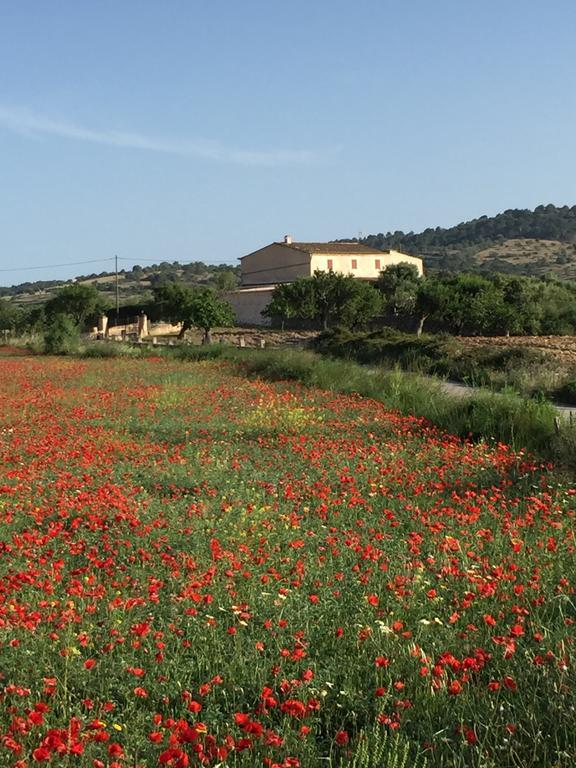 Hébergement de vacances Can Roqueta